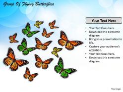 0514 group of flying butterflies image graphics for powerpoint