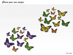 0514 group of flying butterflies image graphics for powerpoint