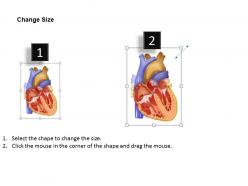 3190075 style medical 1 cardiovascular 1 piece powerpoint presentation diagram infographic slide