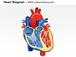 0514 heart human anatomy medical images for powerpoint