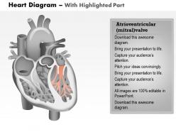 19061152 style medical 1 cardiovascular 1 piece powerpoint presentation diagram infographic slide