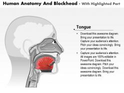 0514 human anatomy and blockhead medical images for powerpoint