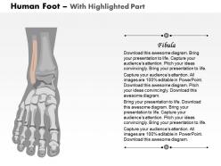 0514 human foot medical images for powerpoint