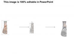0514 human foot medical images for powerpoint