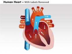 0514 human heart medical images for powerpoint 2