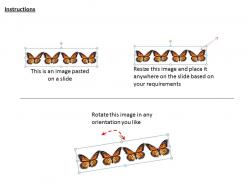 0514 image of colorful butterflies image graphics for powerpoint