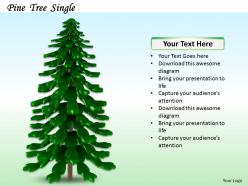 0514 image of growing tree image graphics for powerpoint