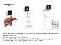 0514 internal anatomy of liver medical images for powerpoint