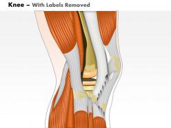 0514 knee lateral view medical images for powerpoint