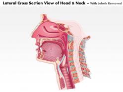 0514 lateral cross sectional view of head and neck laryngeal anatomy medical images for powerpoint