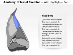 0514 lateral view of external nose anatomy of nasal skeleton medical images for powerpoint