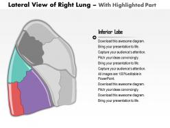 30694490 style medical 1 respiratory 1 piece powerpoint presentation diagram infographic slide