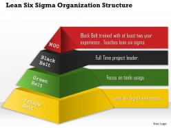 0514 lean six sigma organization structure powerpoint presentation