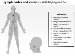 0514 lymph nodes and vessels medical images for powerpoint