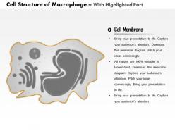 0514 macrophage immune system medical images for powerpoint