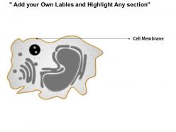 0514 macrophage immune system medical images for powerpoint