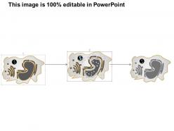 0514 macrophage immune system medical images for powerpoint