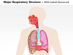 0514 major respiratory structure medical images for powerpoint
