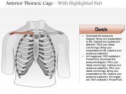 0514 male chest wall anterior view medical images for powerpoint