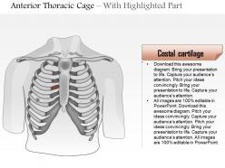 0514 male chest wall anterior view medical images for powerpoint