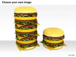 0514 meal of delicious hamburger image graphics for powerpoint
