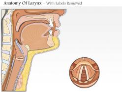 0514 mid sagittal and laryngoscope view of larynx medical images for powerpoint
