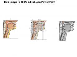 0514 mid sagittal and laryngoscope view of larynx medical images for powerpoint