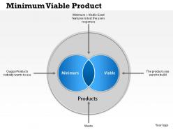 0514 minimum viable product powerpoint presentation