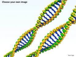 0514 molecular models of dna image graphics for powerpoint