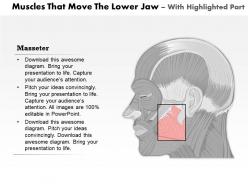 0514 muscle that move the lower jaw medical images for powerpoint