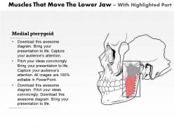 0514 muscle that move the lower jaw medical images for powerpoint
