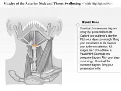 0514 muscles of anterior neck and throat swallowing medical images for powerpoint