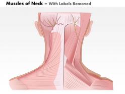 0514 muscles of neck medical images for powerpoint