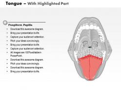 0514 muscles that move the tongue medical images for powerpoint