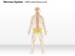 0514 nervous system medical images for powerpoint