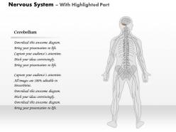0514 nervous system medical images for powerpoint