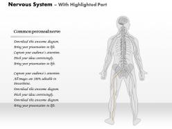 49122023 style medical 1 nervous 1 piece powerpoint presentation diagram infographic slide