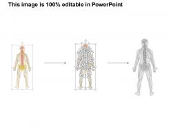 0514 nervous system medical images for powerpoint