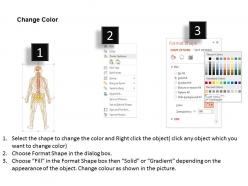 49122023 style medical 1 nervous 1 piece powerpoint presentation diagram infographic slide