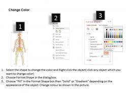 0514 nervous system medical images for powerpoint