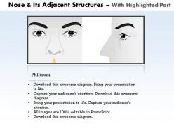 0514 nose and its adjacent structures medical images for powerpoint