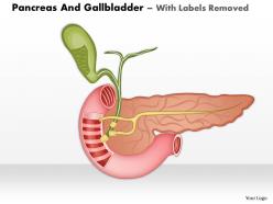 0514 pancreas and gallbladder medical images for powerpoint