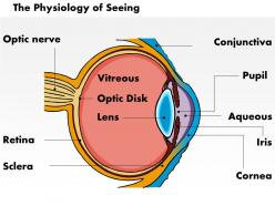 0514 physiology of seeing eye anatomy medical images for powerpoint