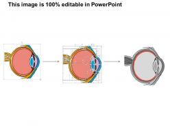 0514 physiology of seeing eye anatomy medical images for powerpoint