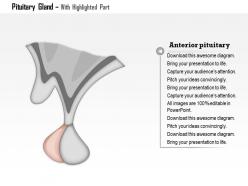 0514 pituitary gland medical images for powerpoint
