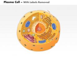 0514 plasma cell immune system medical images for powerpoint