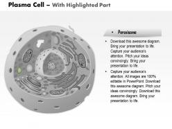 0514 plasma cell immune system medical images for powerpoint