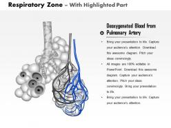0514 respiratory zone medical images for powerpoint