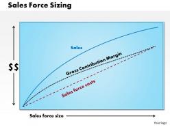 0514 sales force sizing powerpoint presentation