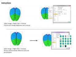 0514 see the human brain graphics image graphics for powerpoint